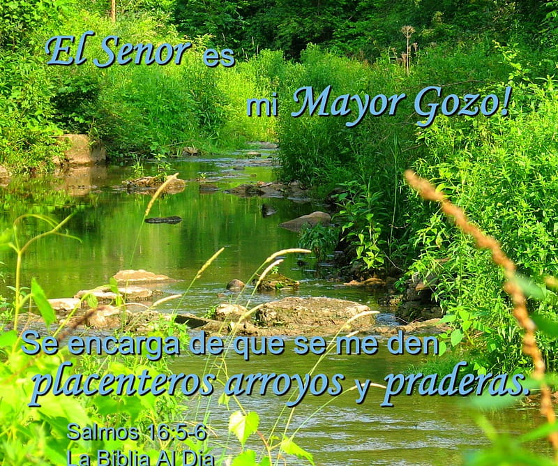 El Senor es mi Mayor Gozo, rocks, inspirational, water, Bible, creek, trees, verse, HD wallpaper
