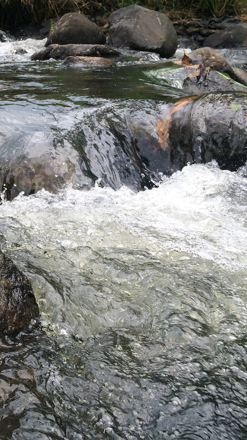 Water Rifki Subhan, rifkisubhan, rikfi, river, srilanka, water, HD ...