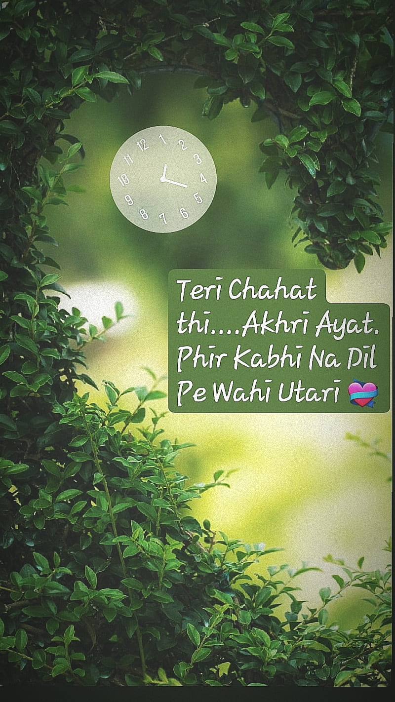 Poetry urdu, love, quote, HD phone wallpaper | Peakpx