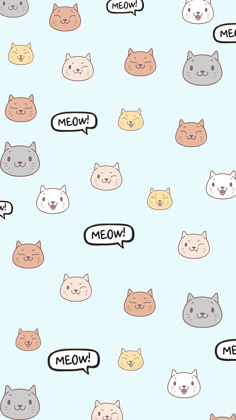 Gatos xd, bonito, HD phone wallpaper