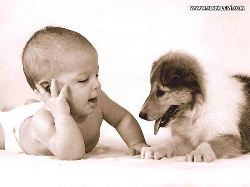 O melhor amigo do bebe, bebe, pessoa, cachorro, animal, HD wallpaper