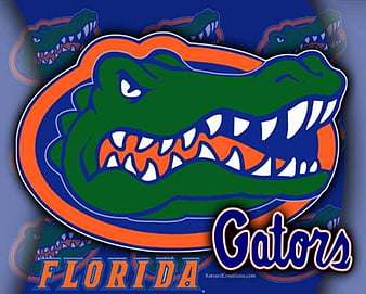 Florida Gators Tab basketball college football ncaa HD wallpaper   Peakpx