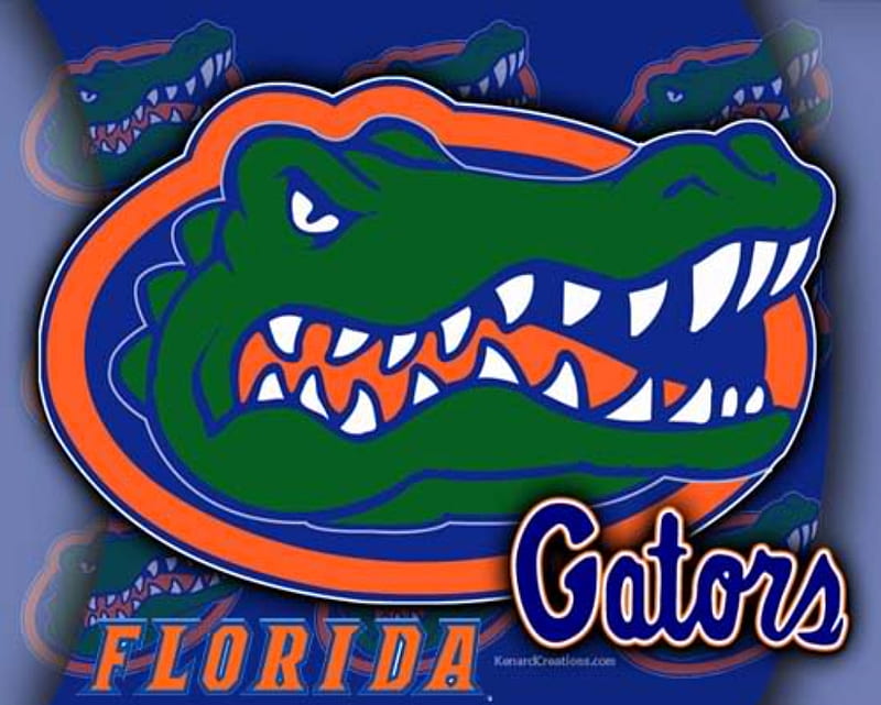 Florida Gators, football, florida, gators, team, HD wallpaper