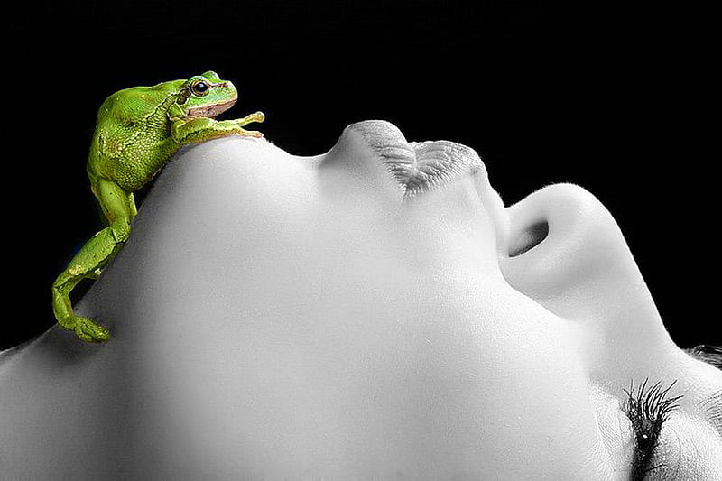 Is this Dianna's Prince?, frog, green, black, face, woman, kiss, HD wallpaper