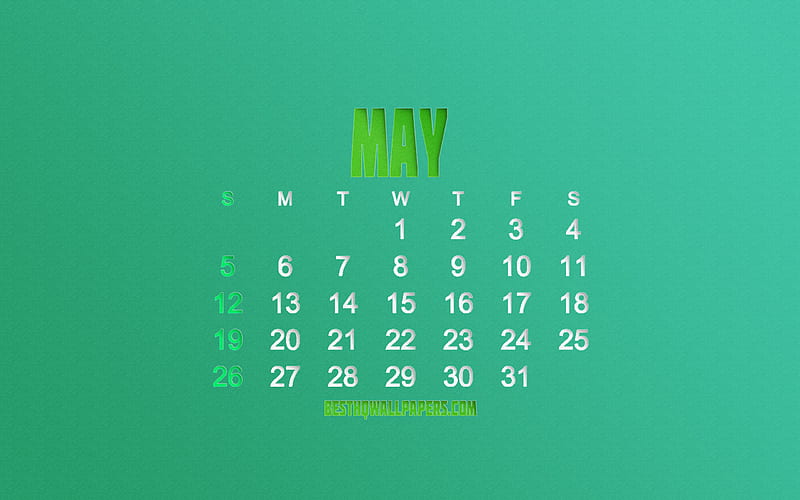 2019 May Calendar, green paper background, colorful art, 2019 calendars, stylish art, 2019 concepts, calendars, May, spring, HD wallpaper