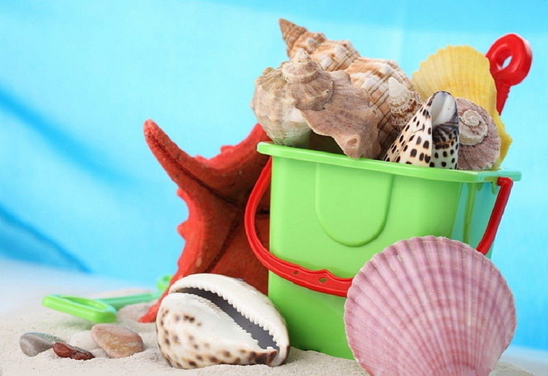 Summer time, red, conch shell, sea shells, spiral, fun, bucket, starfish, beach, sand, green, summer, shells, HD wallpaper