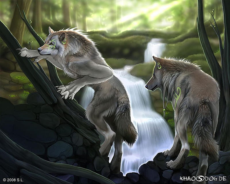 Tribal Werewolves, forest, animal, water, waterfall, nature, wolf, wolves, wile, dog, HD wallpaper