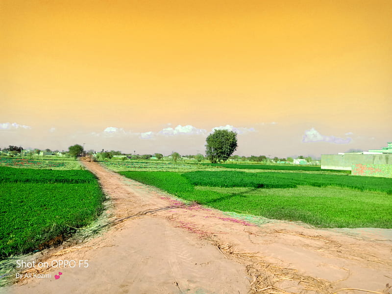 Nature, green, land, pakistanibeauty, road, scenery, HD wallpaper