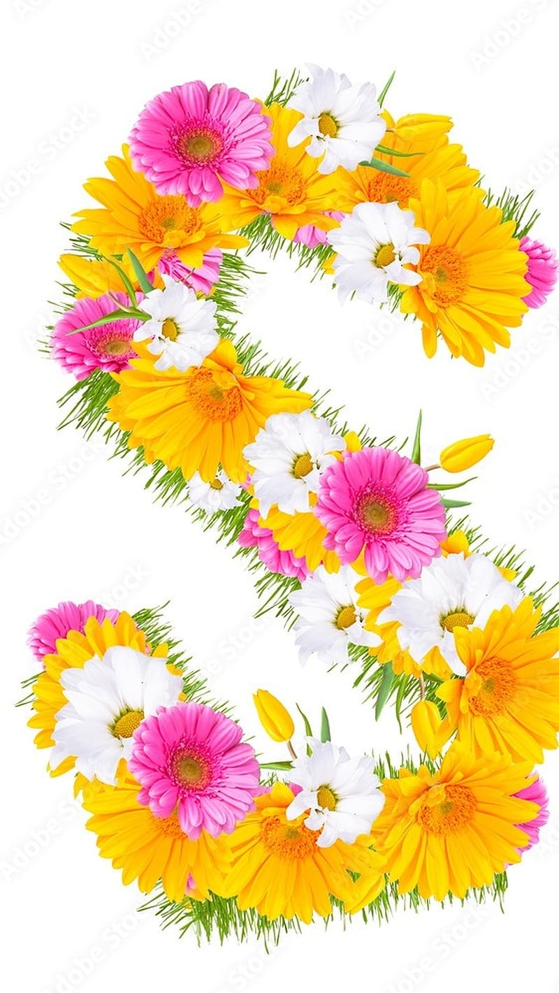 Beautiful S Alphabet, Yellow Flowers, alphabet design, HD phone wallpaper