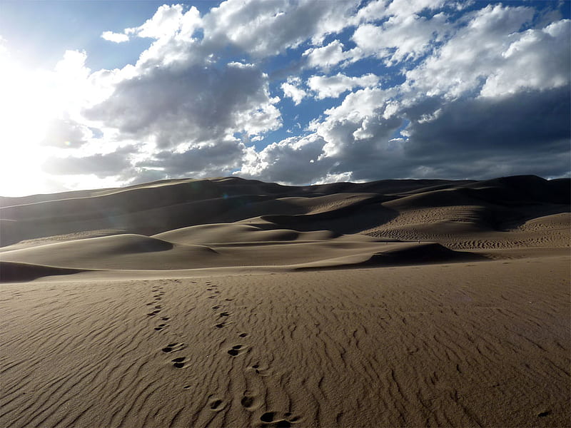 Sand Dunes, colorado, desert, scenic, mountains, HD wallpaper | Peakpx