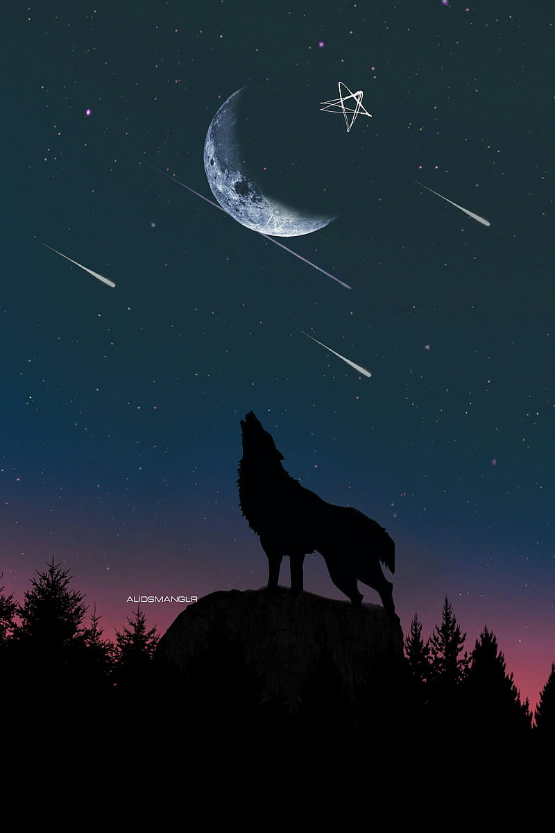 Bozkurt Ataturk Flag Lone Millet Moon Turk Vatan Wolf Wolves