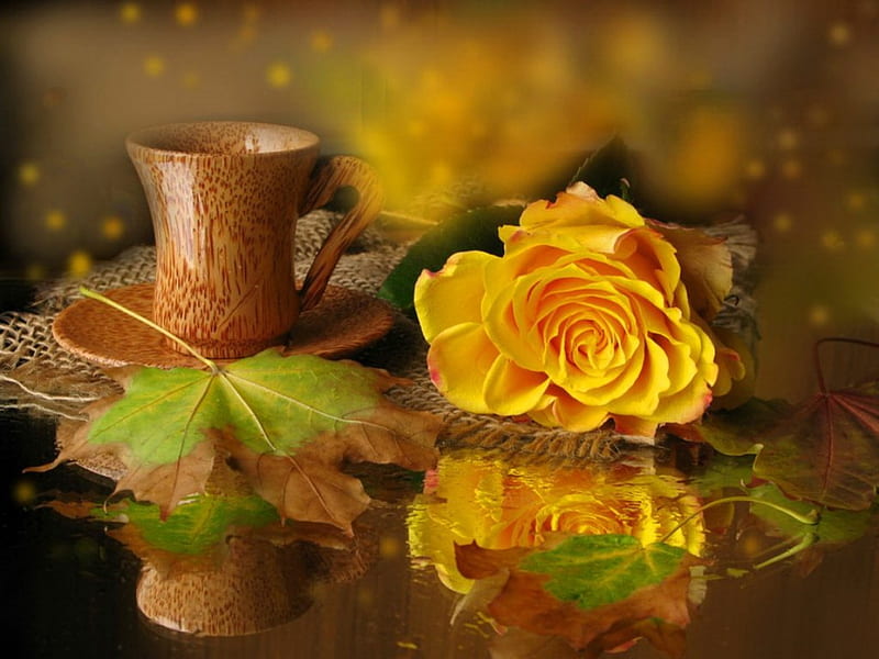 Autumn still life, pretty, fall, autumn, lovely, rose, time, yellow, bonito, tea, leaves, coffee, flower, reflection, harmony, HD wallpaper