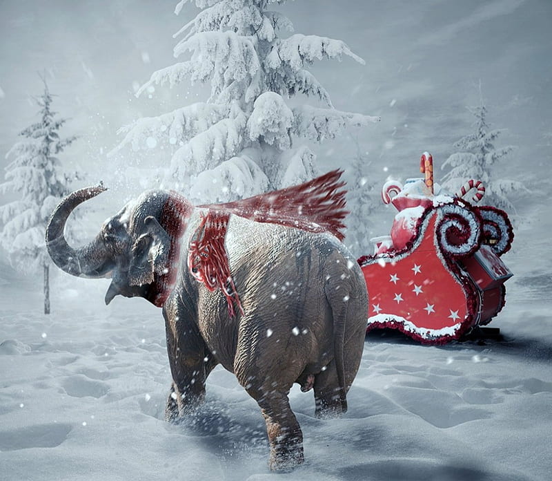Unusual Christmas angel, sleigh, red, wings, ionut caras, craciun, christmas, elephant, angel, creative, winter, santa, fantasy, funny, HD wallpaper