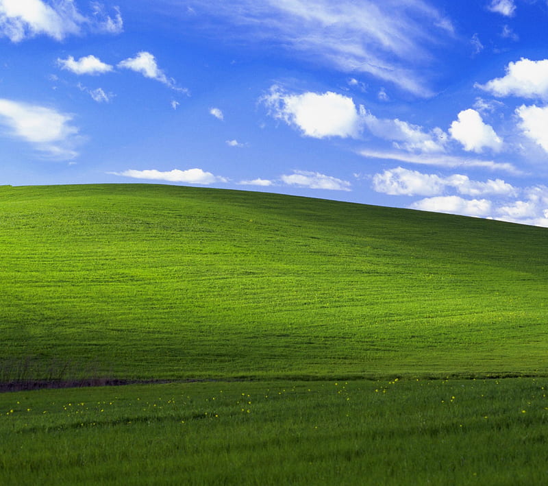 WIndows XP Bliss, clouds, grass, green, sky, view, windows xp, HD wallpaper