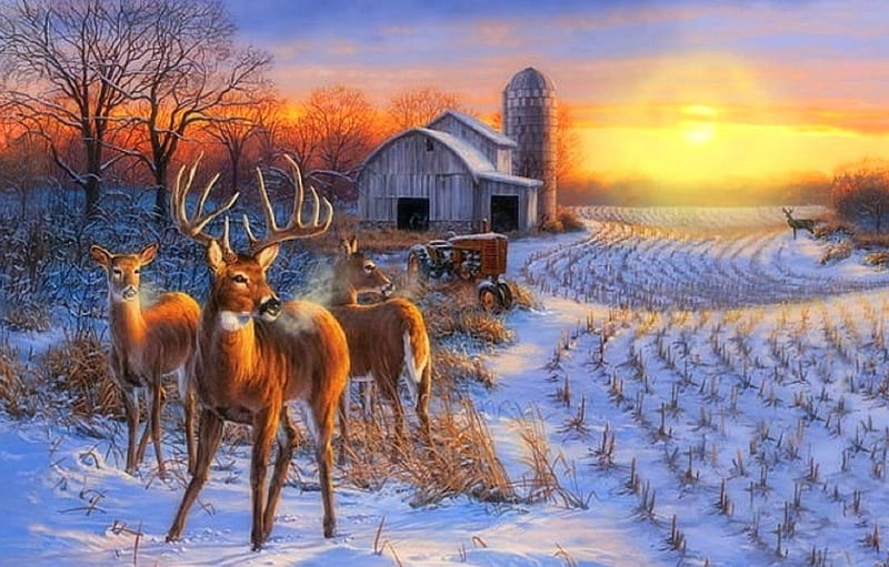 Winter Whitetails, whitetails, holidays, love four seasons, farms, xmas and new year, deer, winter, paintings, snow, nature, fields, HD wallpaper
