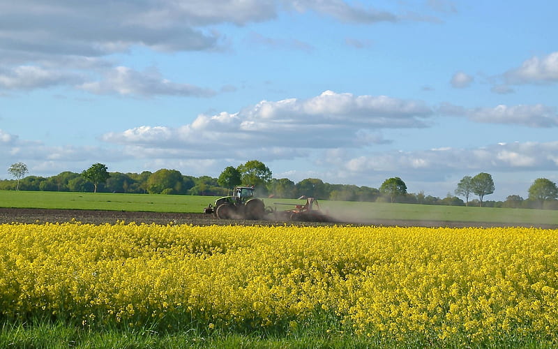 Spring Fields, fields, tractor, rapeseed, rural, flowers, spring, HD wallpaper