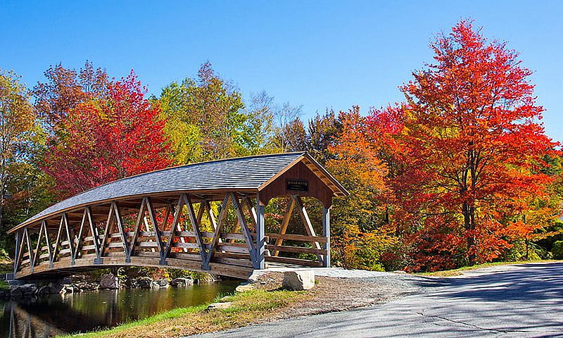 Autumn in New Hampshire, covered, colors, leaves, trees, bridge, HD wallpaper