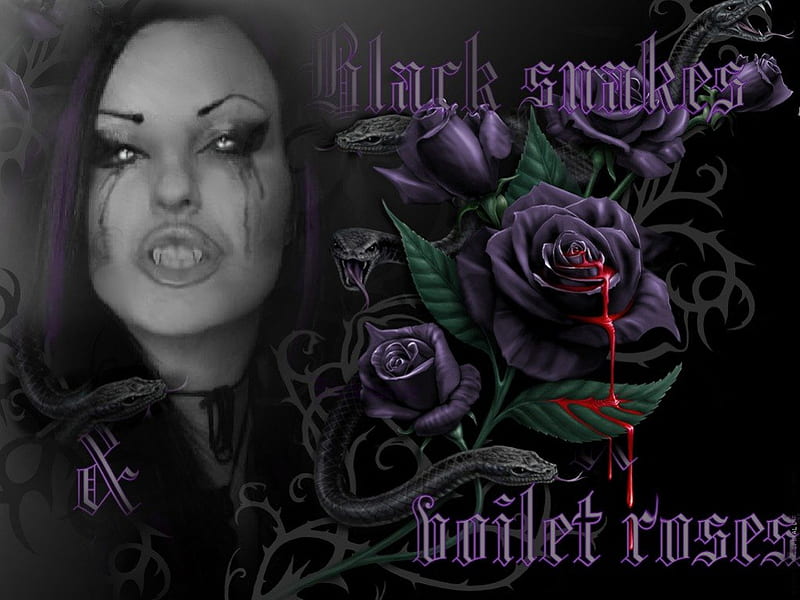 black snakes and voilet roses, purple roses, blacksnakes, starrayne, woman, sexy, vampyre, blood, dripping blood, gothic, dark, vampire, snakes, HD wallpaper