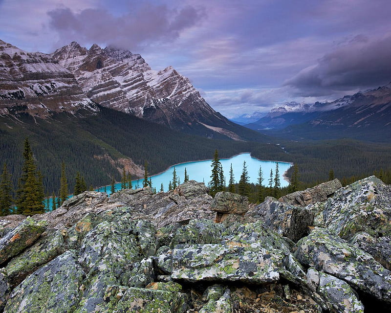 Peyto Lake from Bow Summit Alberta, sky, trees, lake, mountains, HD wallpaper