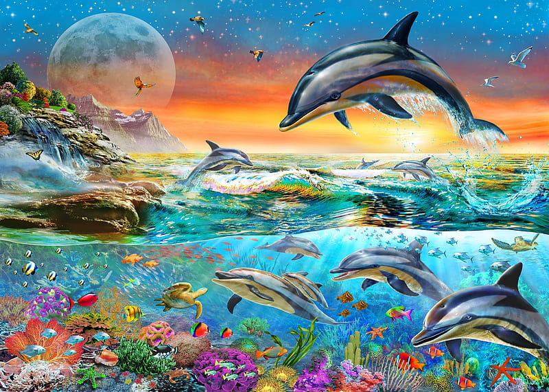 Sealife, sea, orange, fish, luminos, sunset, water, dolphin, fantasy, vara, adrian chesterman, summer, blue, HD wallpaper