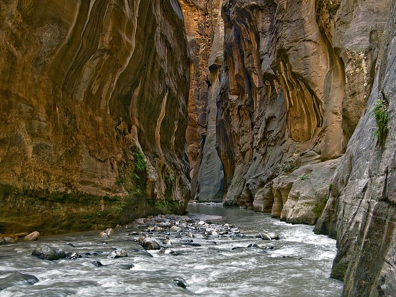 Zion-Narrows-Utah., zion, utah, water, rock, colors, nature, canyon, HD wallpaper