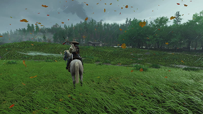 Video Game, Ghost of Tsushima, Grass, Horse, rain, Samurai, HD wallpaper
