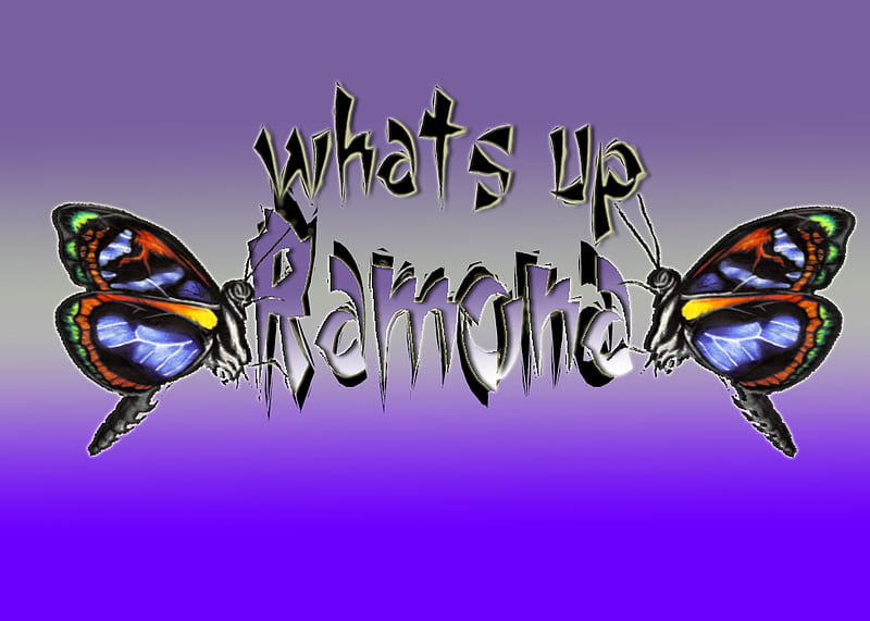 ramona, up, whats, butterfly, HD wallpaper