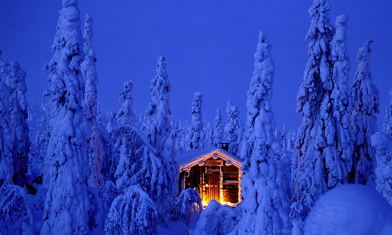 Snow House, Lighting, White, Snow, House, Blue, Night, Winter, HD wallpaper