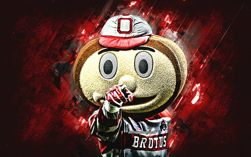 Brutus Buckeye, Ohio State University mascot, NCAA, red stone background, creative art, Ohio State University, HD wallpaper