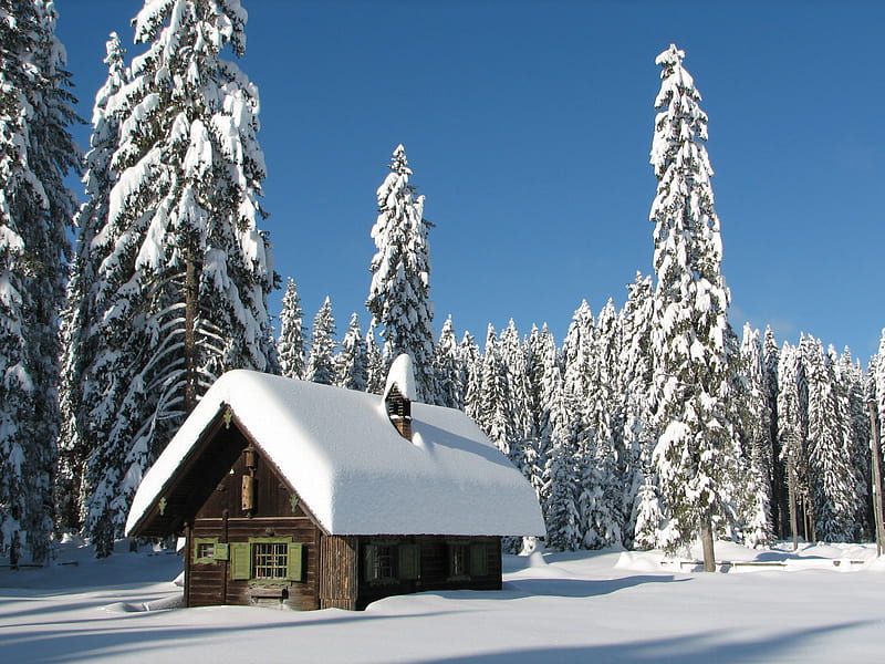 White Christmas, cabin, snow, landscape, firs, HD wallpaper