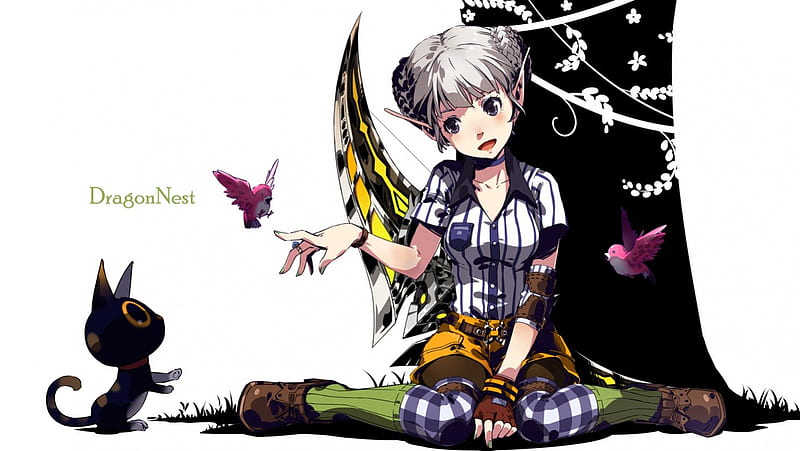 Dragon Nest, gray hair, anime, pointed ears, shorts, blush, black eyes, animals, HD wallpaper