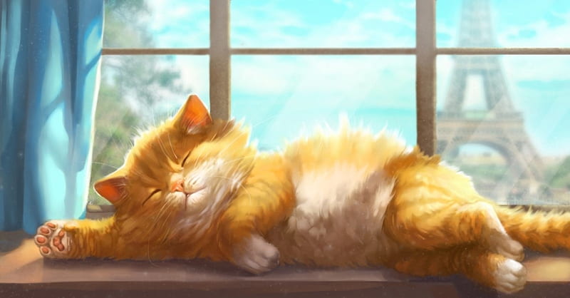 Sleeping cat, art, vera velichko, fantasy, sleep, window, orange, cat, kitten, luminos, HD wallpaper