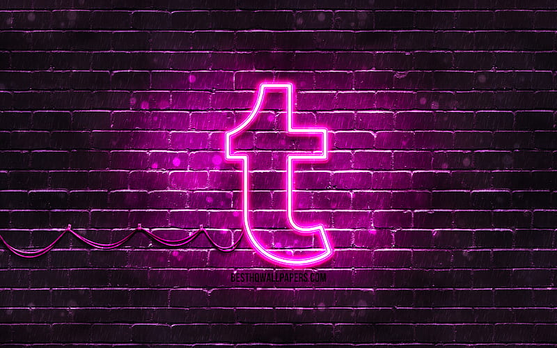 Tumblr purple logo purple brickwall, Tumblr logo, social networks, Tumblr neon logo, Tumblr, HD wallpaper