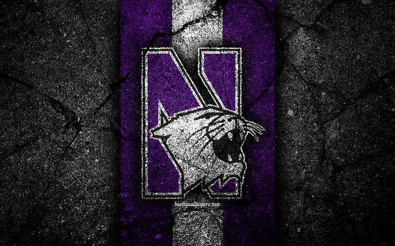 Northwestern Wildcats american football team, NCAA, violet white stone, USA, asphalt texture, american football, Northwestern Wildcats logo, HD wallpaper