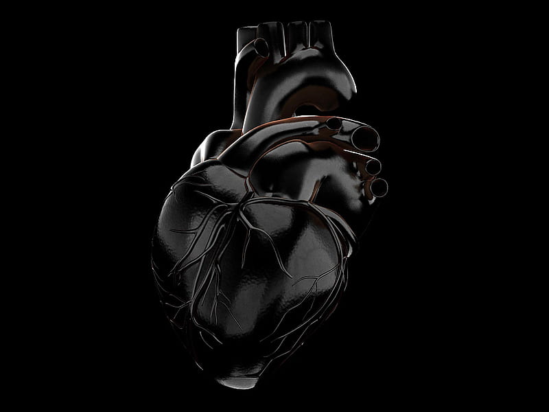 heart x ray gif, Human Heart, HD wallpaper
