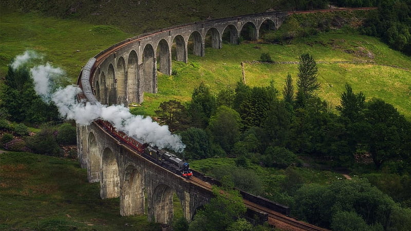 steam train on an old rail bridge r, railroad, train, bridge, r, steam, trees, valley, HD wallpaper
