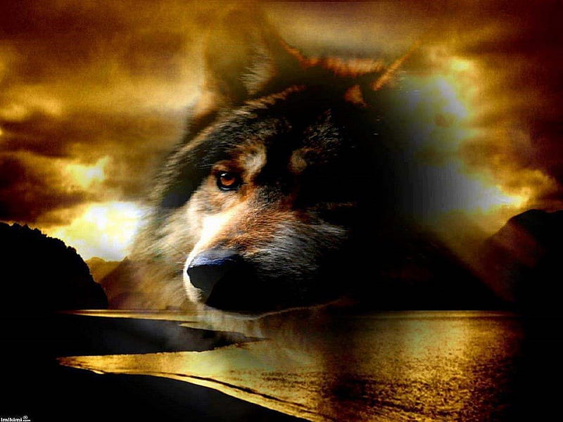 My Spirit To Watch Over You, fantasy, wolf, sunset, abstract, animal ...