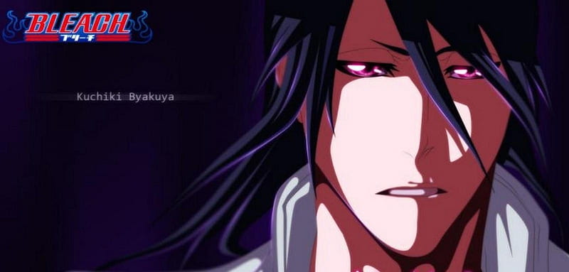 Kuchiki Byakuya, bleach, pink eyes, kuchiki, male, byakuya, byakuya kuchiki, logo, anime, plain background, HD wallpaper