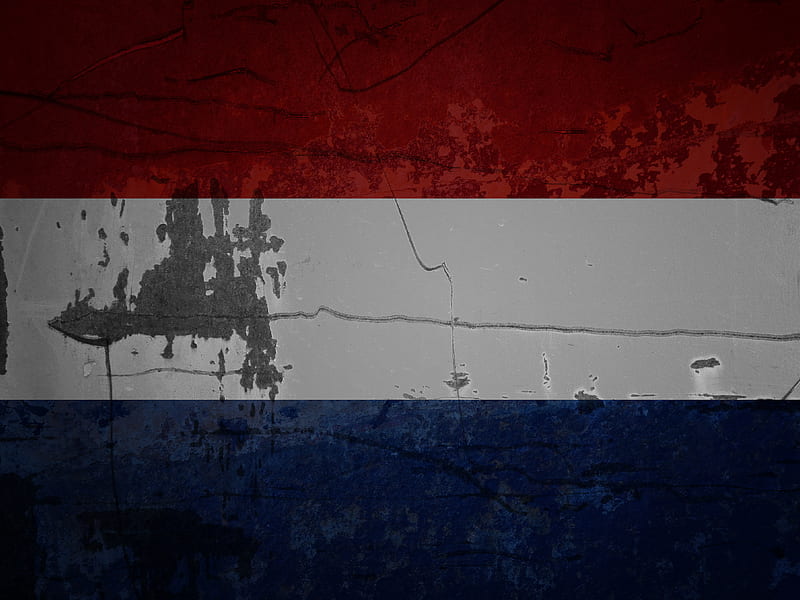 Dutch Flag, amsterdam, holland, nederland, HD wallpaper