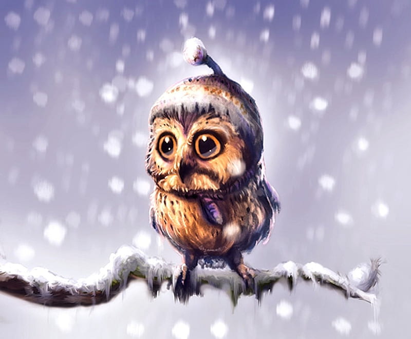 Sweet Owl, Owl, Painting, sweet, Winter, HD wallpaper | Peakpx