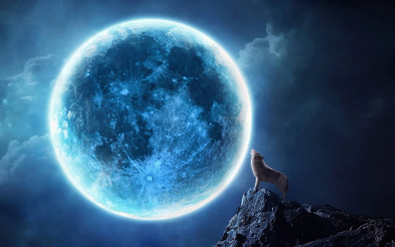 Silver song, art abstract, silver, fantasy, moon, 3D and CG wolf, wolves, dream, night, HD wallpaper