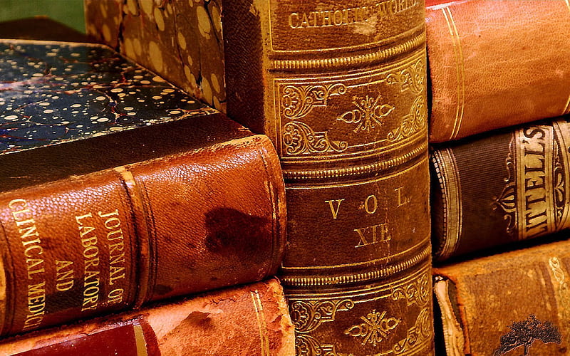 leather, roots, old books, guilding, HD wallpaper
