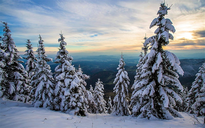 Snow-Covered Trees in the Mountains, Mountains, Trees, Sky, Clouds ...