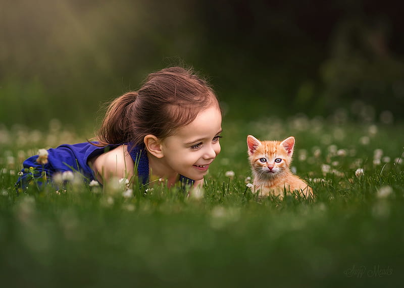 Little girl and kitten, cat, animal, girl, green, summer, copil, child, kitten, pisica, blue, HD wallpaper