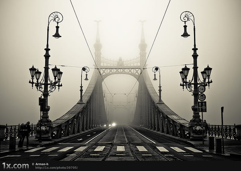 bridge in fog, foggy day, bridges, HD wallpaper