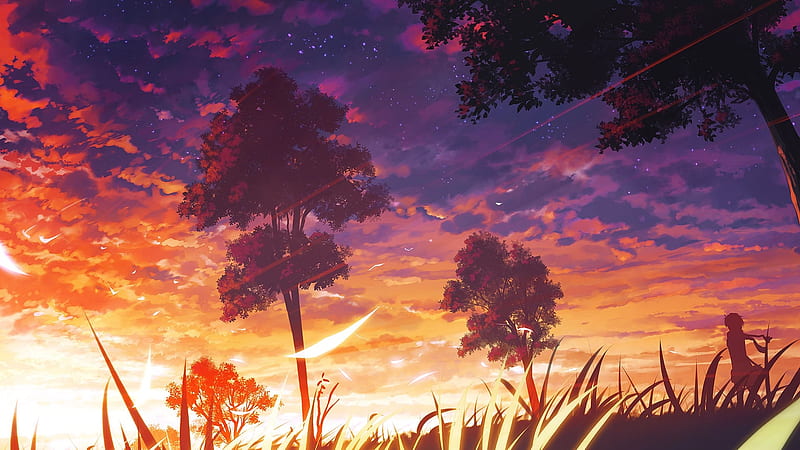 anime landscape, sunset, trees, clouds, scenic, field, petals, wind, Anime, HD wallpaper
