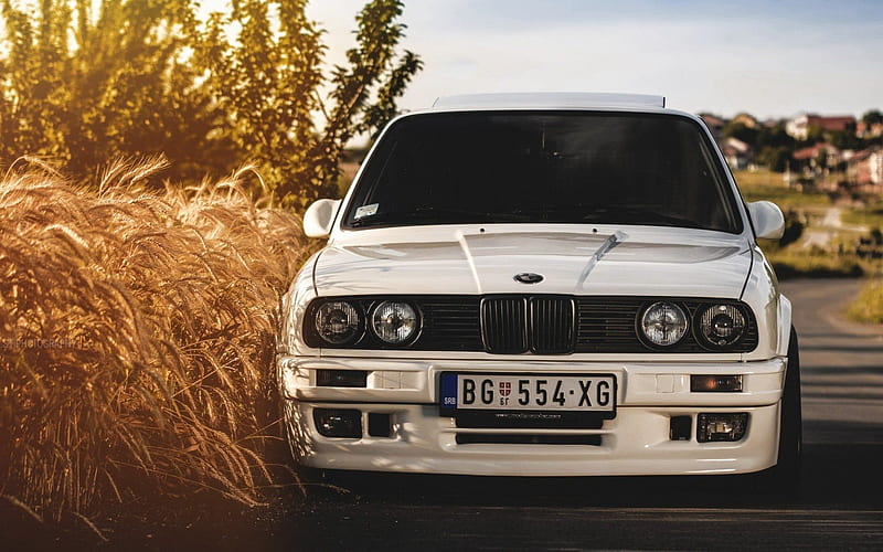 BMW M3, E30, front view, wheat, white bmw, HD wallpaper
