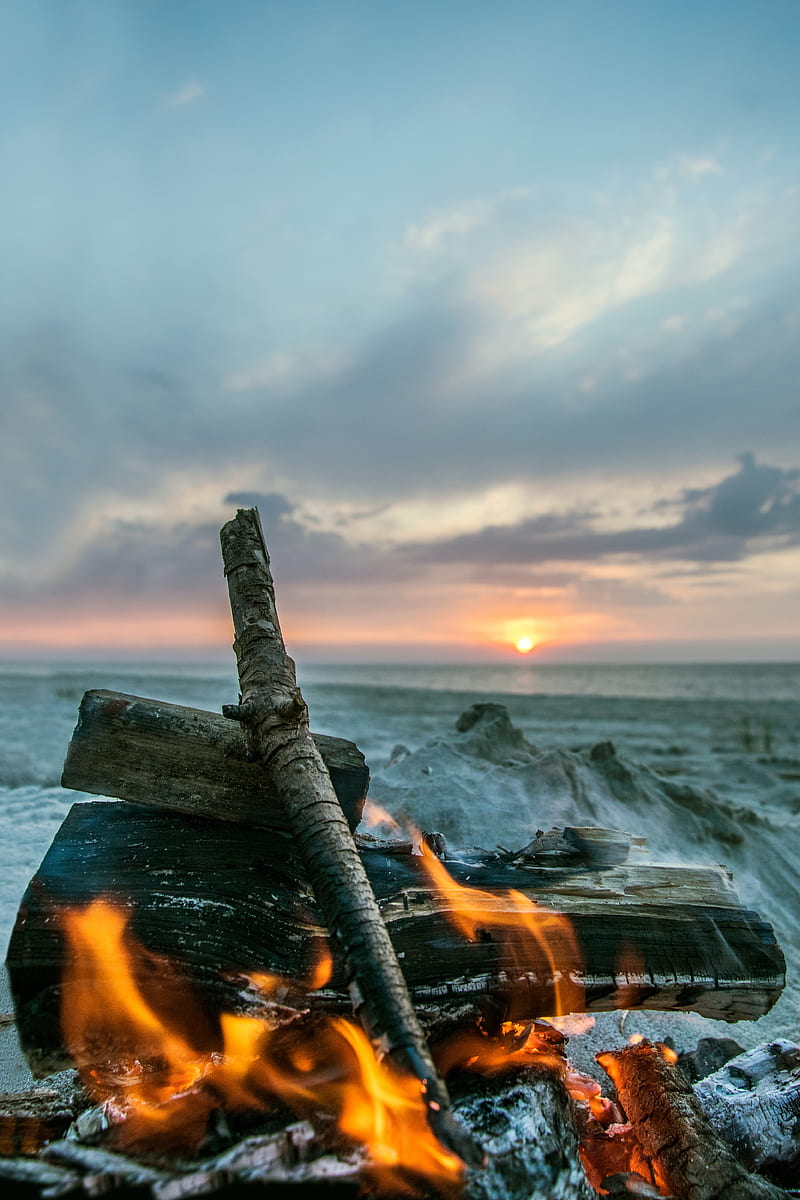 bonfire, flame, logs, coals, sunset, HD phone wallpaper