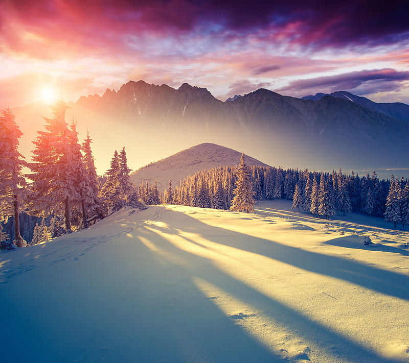 Winter Sun, forest, mountains, nature, snow, sunshine, HD wallpaper