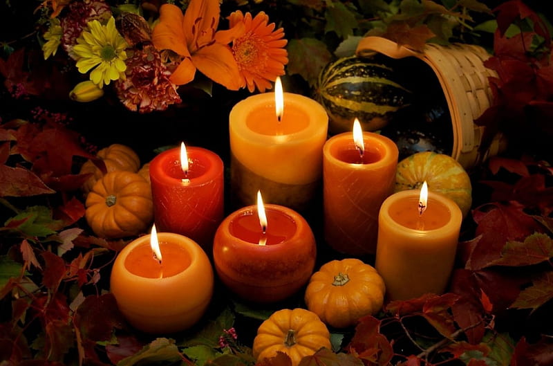 Autumn Candles, Fall, gourds, candles, still life, leaves, basket, flowers, Autumn, pumpkins, HD wallpaper